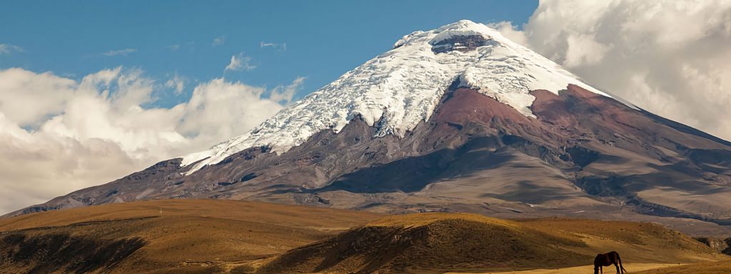 day-tours-cotopaxi