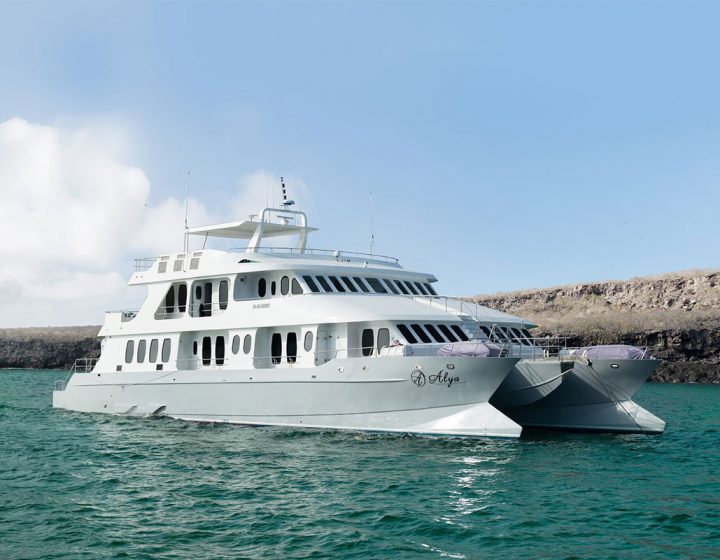 galapagos-cruises-alya