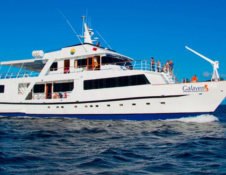 galapagos-cruises-galaven