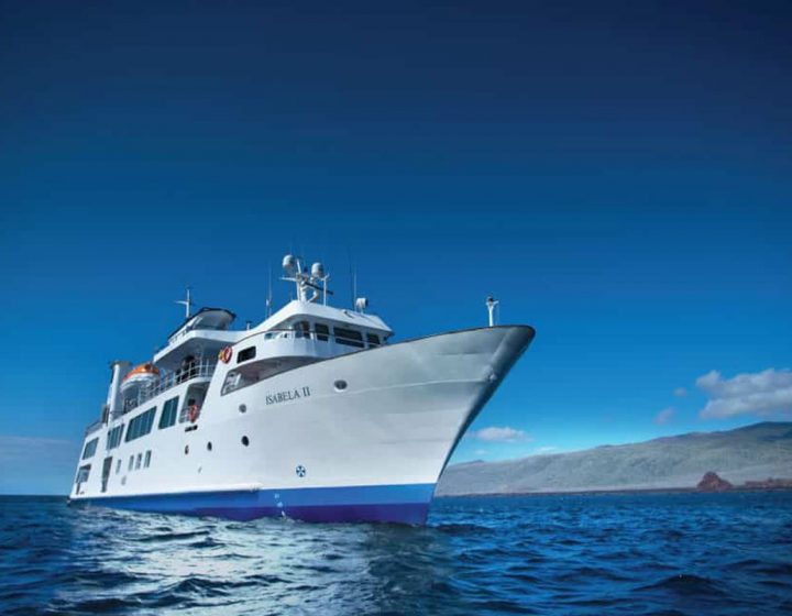 galapagos-cruises-isabella