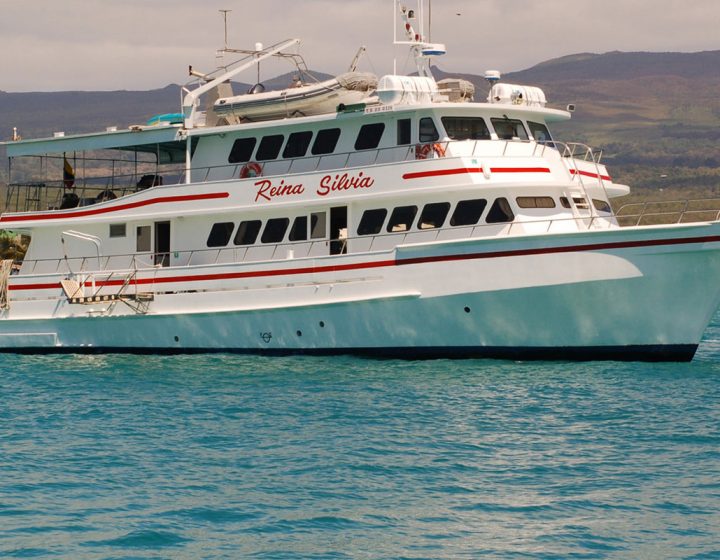 galapagos-cruises-reina