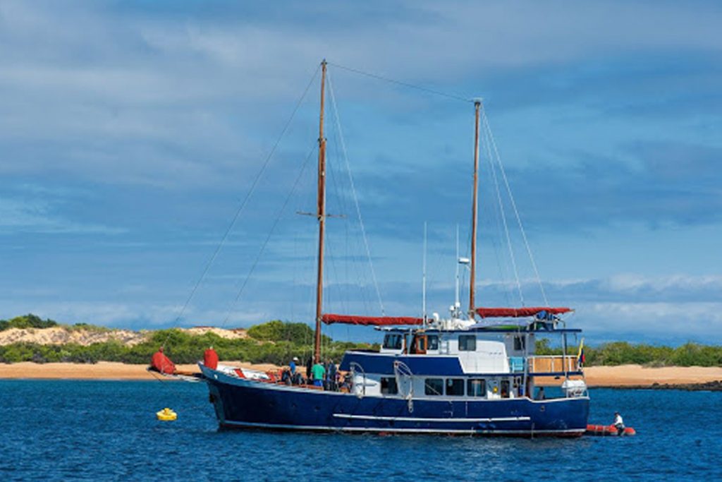 galapagos-cruises-samba