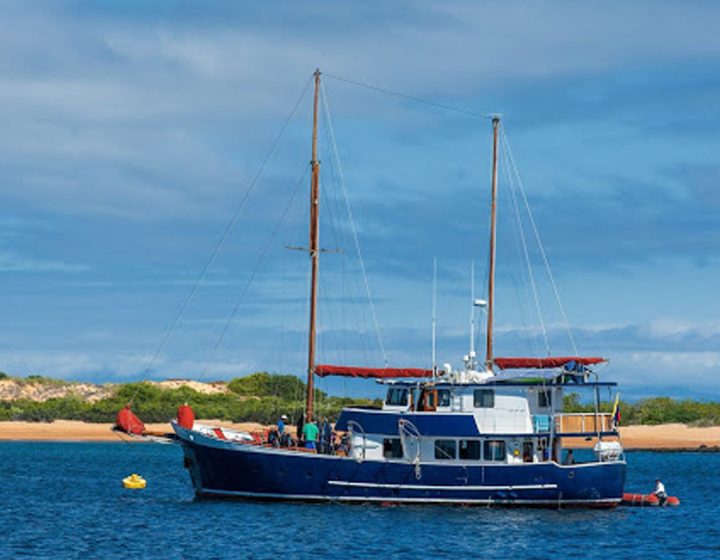 galapagos-cruises-samba