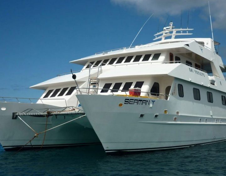 galapagos-cruises-seaman