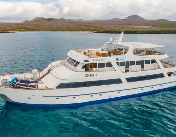 galapagos-cruises-star-journey