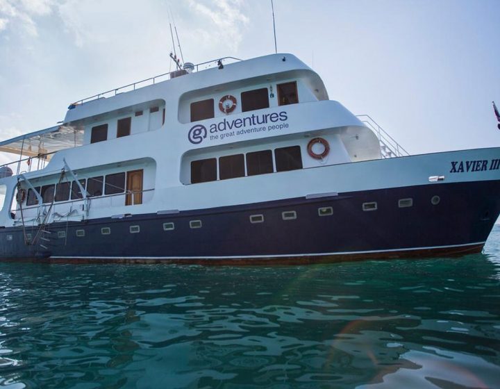 galapagos-cruises-xavier-iii