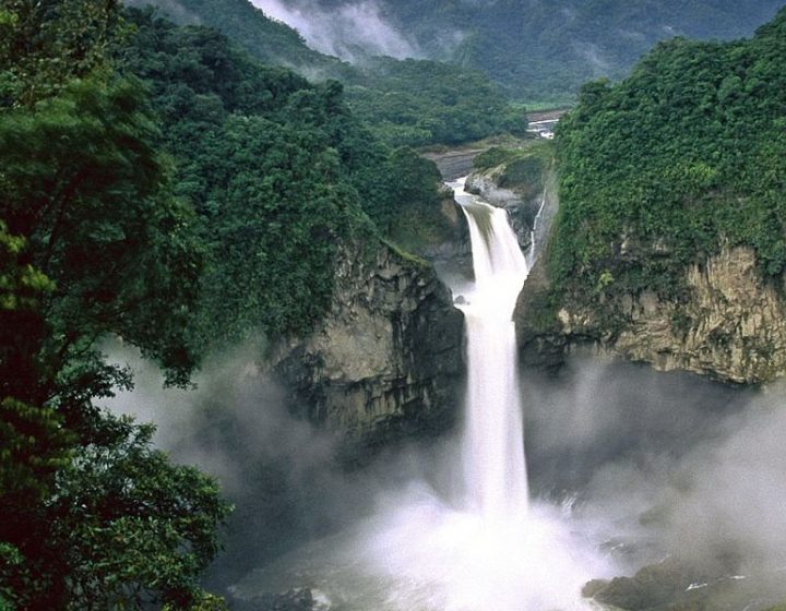 yasuni-national-park-turism-ecuador