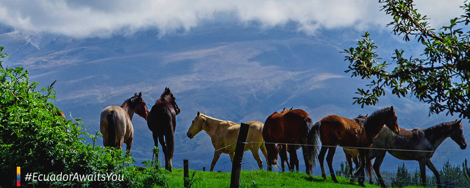 news-tourism-ecuador-2020